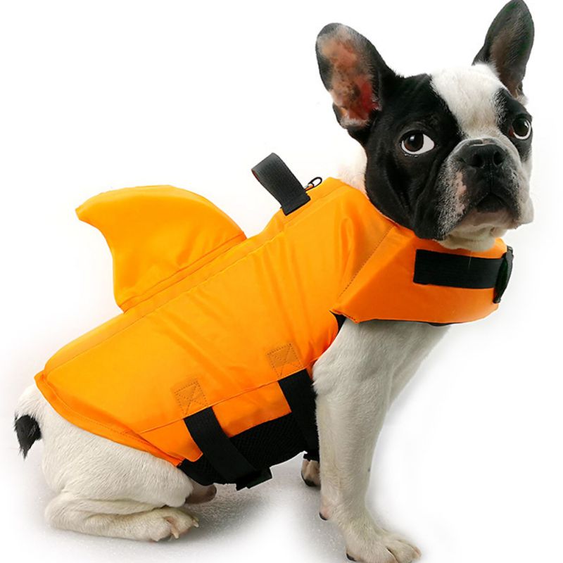 🐶🦈 Jaws-of-Life French Bulldog Life Preserver Vest