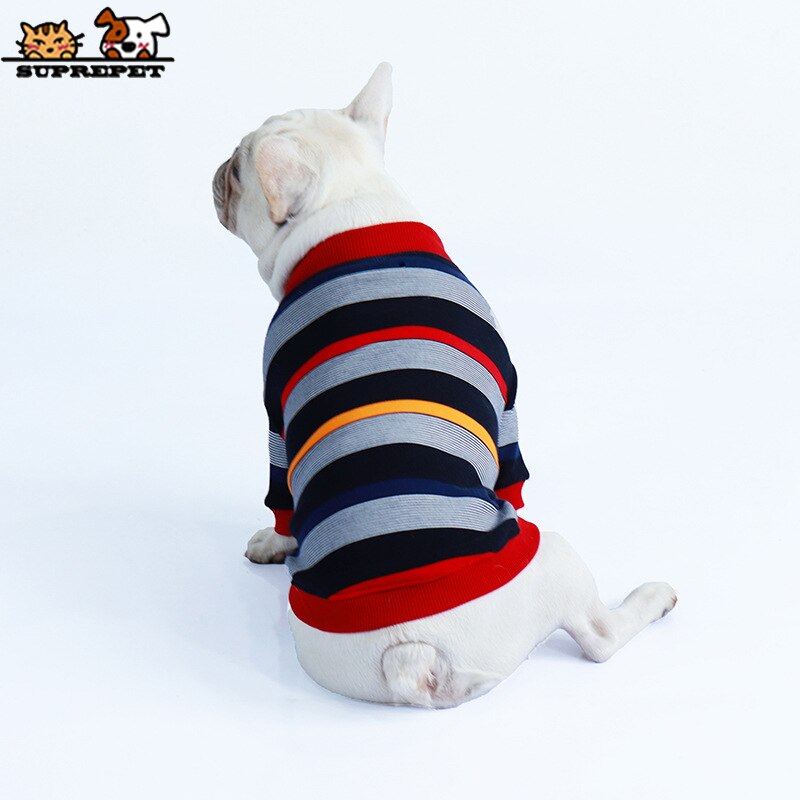 Stripes and Snuggles: French Bulldog Sweater Jacket