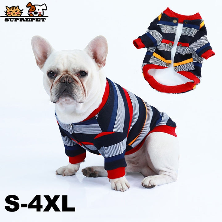 Stripes and Snuggles: French Bulldog Sweater Jacket