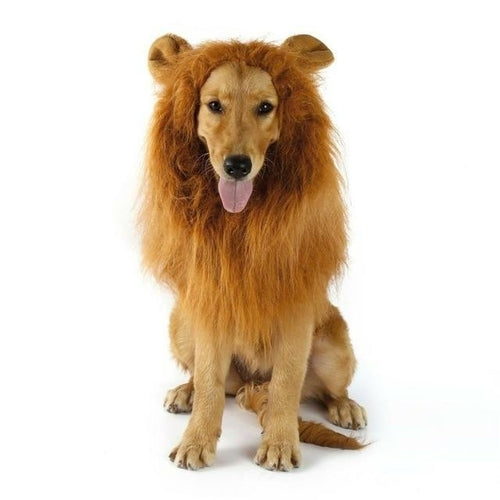 Unleash the Beast Roaring Lion Dog Wig