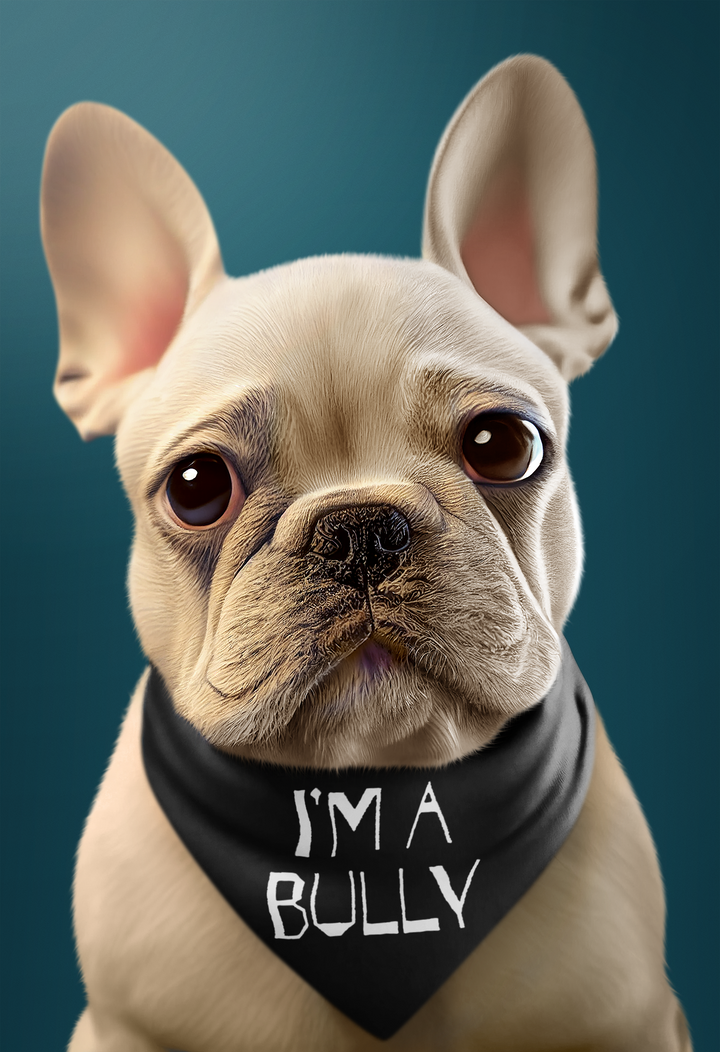 I m a Bully Pet Bandana Collar FrenchieBS