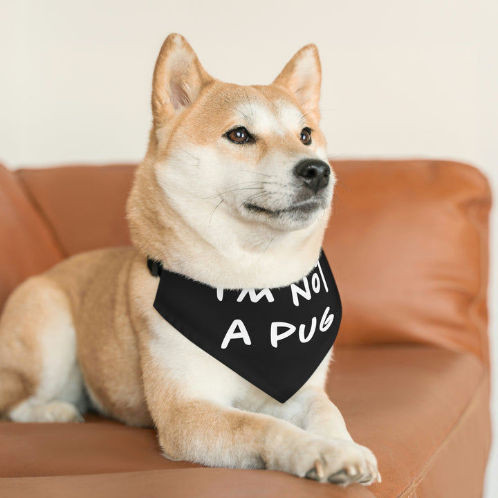 Frenchie "I'm not a pug" Identity Crisis Bandana